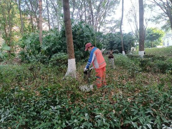 4c50c926903bf73514bcc6716ec0464