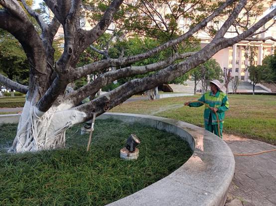 7acda035f6de8b753a5938ca65294d6