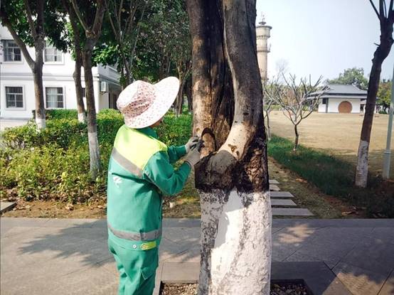 8bee77e59740c15939fd91f2d8b11da