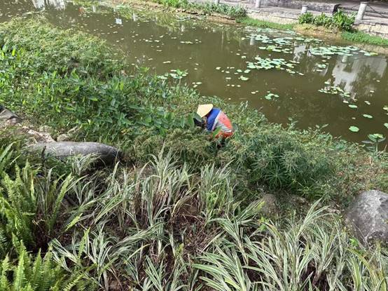 e89163a07327297f3f40efe85a89702