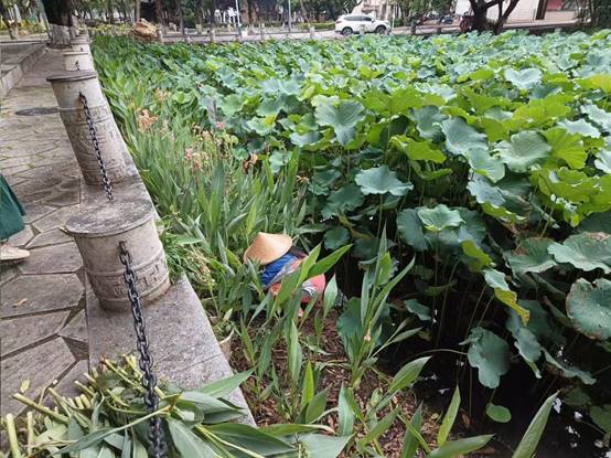 9ccbf9508e5556528ccb67157442f1c