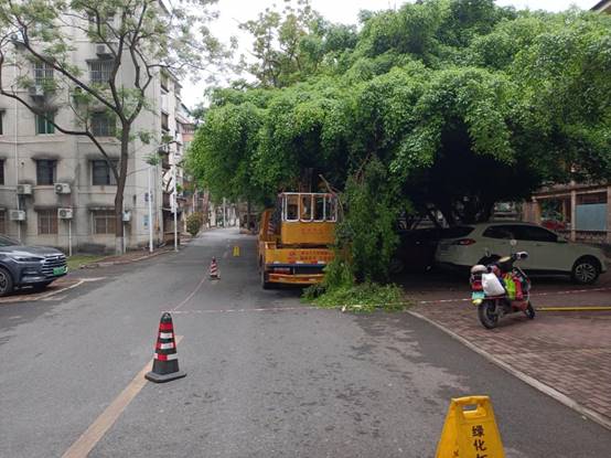 b0467aa66dd3edec7d384cbd05c9bb3