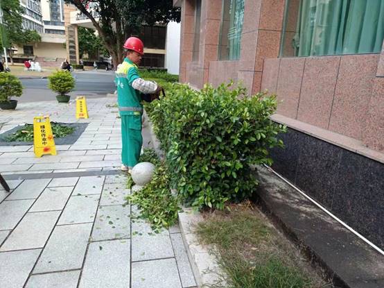 e33d4a68a8779f9405b9e220c2cbf93