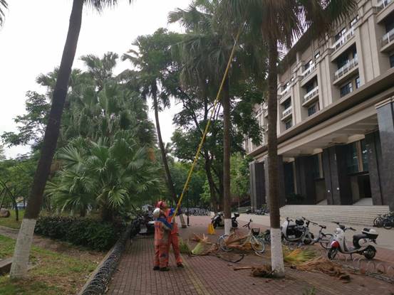 291657201c7c52a7e0d82b5099b19cb