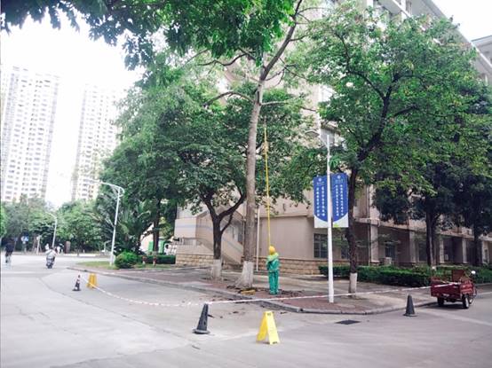 0ee7f22cddafd3bd403161175d7ad7a