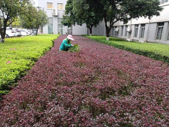 ec213d93948fc22a7dba88fca6d5dca