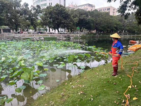 291d37acf964dbe43ed9ba30cadddb5