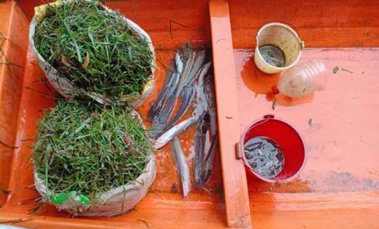 4bcfc7fbe8f52d1586b4fea8c938fb0d_