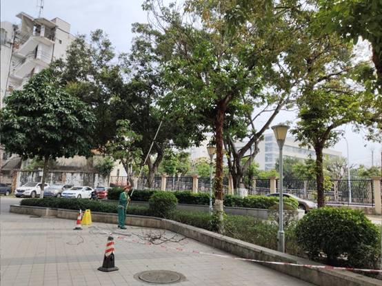 9c8cc9a8318379d58596721d9cc9bcf