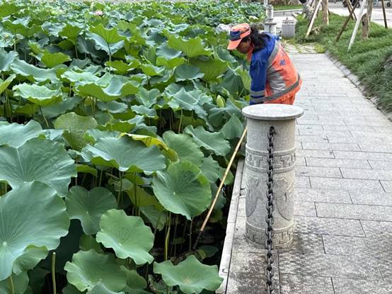 0406899c30044edc0d3fa2dc66d5d4d