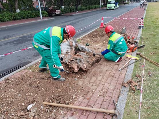 7b9dcc9b4e025d977bfcccca25cd0d0