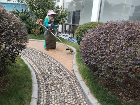 ac099579ea33143db69a3f426ae4a78