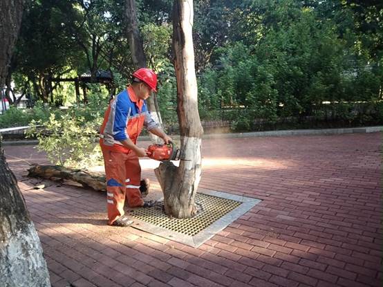 29c7759942e9bde2a9c53a690c9df01