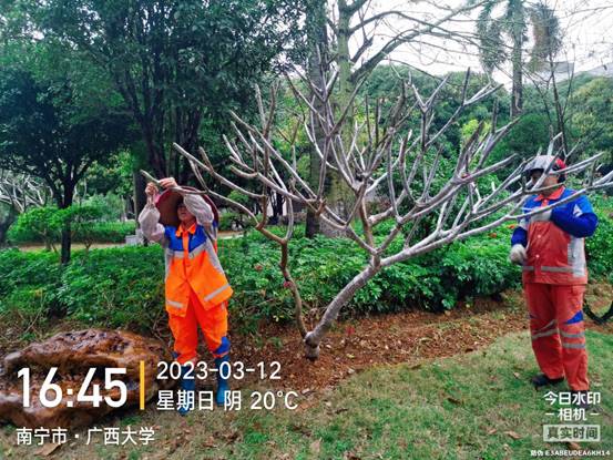 64a5617072d669f007fdf5a69651e36