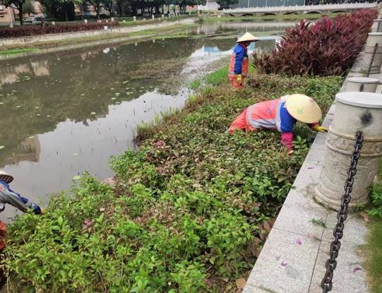 69dd94213ace36bae1aca425d07ae87