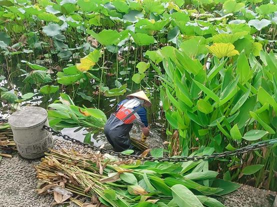 3702df0f311116dfe4495b862414a5f