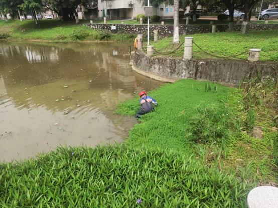 fc4b470522d43ee86b8fae54a71458f