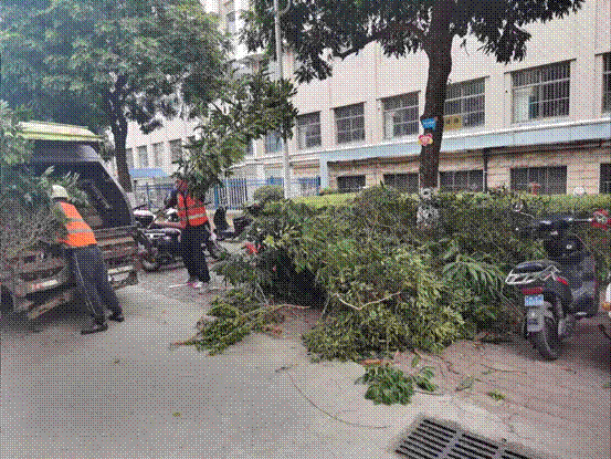 af9965cec9c92a452d811943c71385c