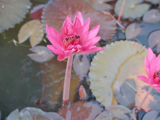 d2995596728e62feef1a6069abbea0d