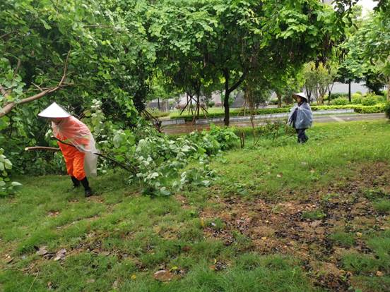 4a98ddfbda2211bc5a860582ebd1782