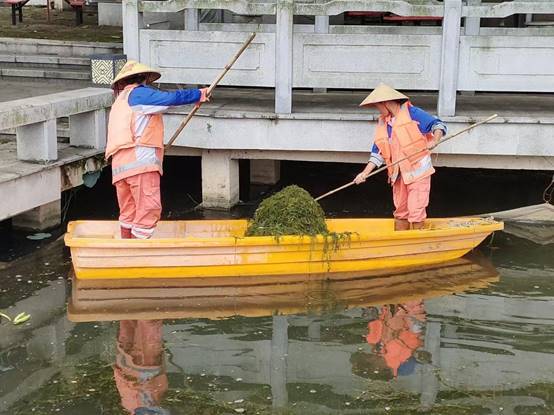 e796d703ecccb1c2266f26ac2c62381