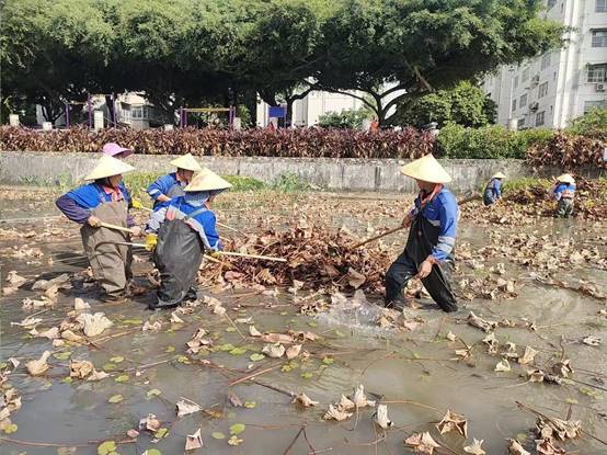 13cfa8f821b806172dc11ec0cd159b6