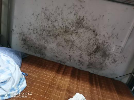 fa6c805a57c52cdf4eb94fcf7e8d523b