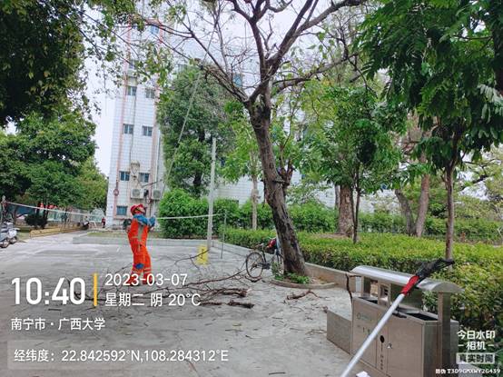 树上的消防栓描述已自动生成