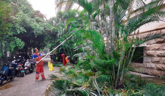 棕榈树和房子描述已自动生成