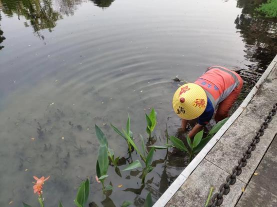 ad38ebac81e082f85b983345bfdf7ab