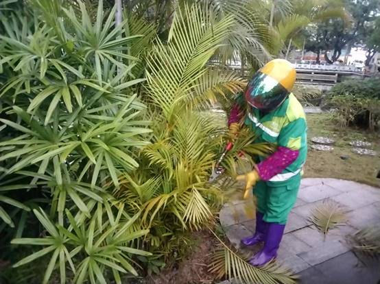 eccb757a3416352c90a156b72ae6900