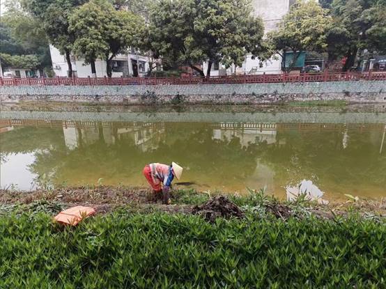 80bfbec67bb52731f9773c234f2d19d