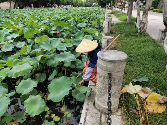 39657199de5c4b3beb7eb25558296bb