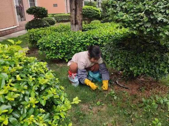 说明: 5d38d665b8d87dcc1557c595060eab5