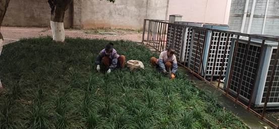 说明: 82ce555905041c0a1bfa2c9e9e329b0