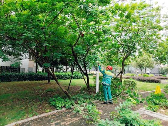 c5e5200e60f5ae2b35e8d75c25f2681