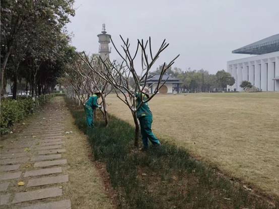 ef54286d06d2f43e763480a9465c28f