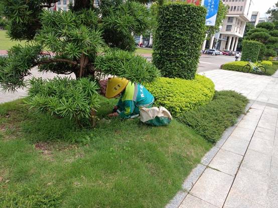 d313a81c34f97daa3426c77246cafb2