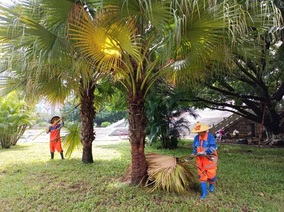 e88a4f21a9391ff9254e19693ed5905