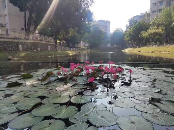 cf294b25b2cbc921da1d3b780dc3d9a