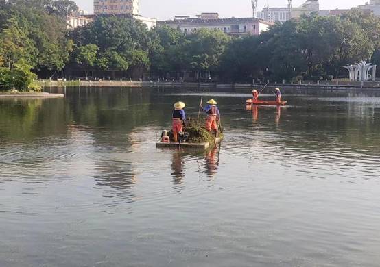 96b6466dcf99f1944fc76e27514846a