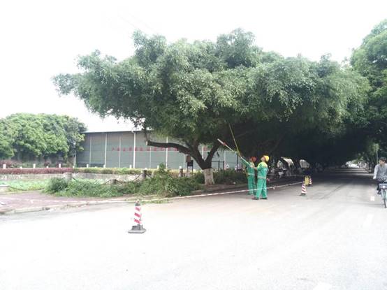 ddeac05af919a2484bcccf0cd13a8dd