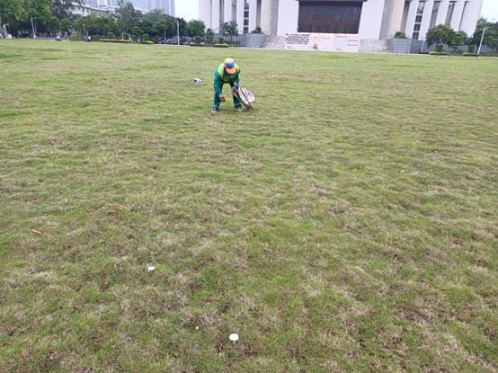 3e33cae89561a77d05d9ee769045ff6