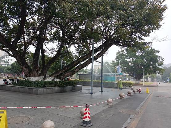 cae3276f72e1890ee136835ddfe0eb5