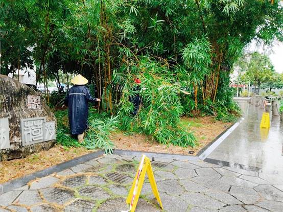 17cf32589a80c71074067390fc2d744