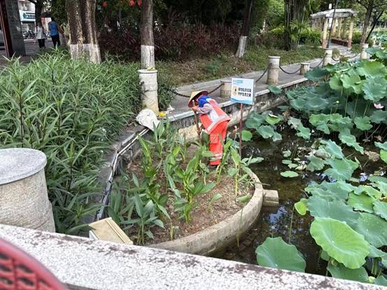 248266a73f74e7a5b68250d10eeb5cb